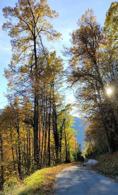 Casa Del Cios Calda E Intima Casetta Immersa Nel Verde Delle Montagne Alpe Basciumo Exterior foto