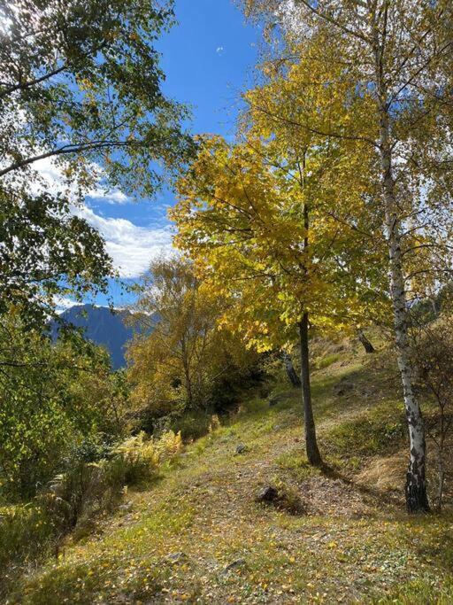 Casa Del Cios Calda E Intima Casetta Immersa Nel Verde Delle Montagne Alpe Basciumo Exterior foto