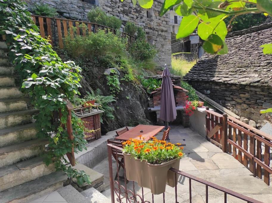 Casa Del Cios Calda E Intima Casetta Immersa Nel Verde Delle Montagne Alpe Basciumo Exterior foto